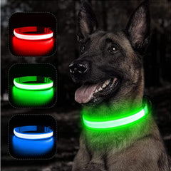 Luminous Dog Collar